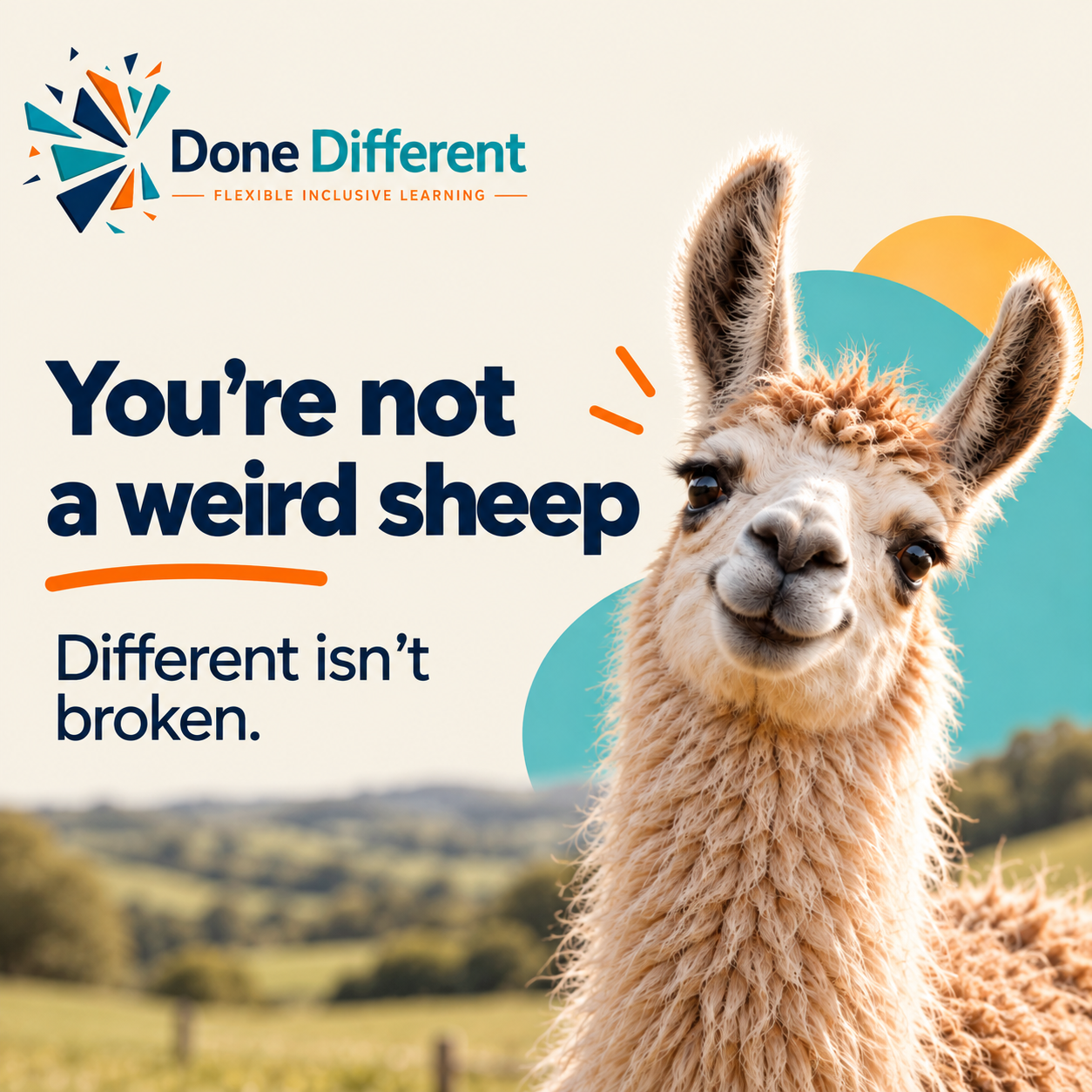 Smiling llama with the words You're not a weird sheep. Different isn't broken.