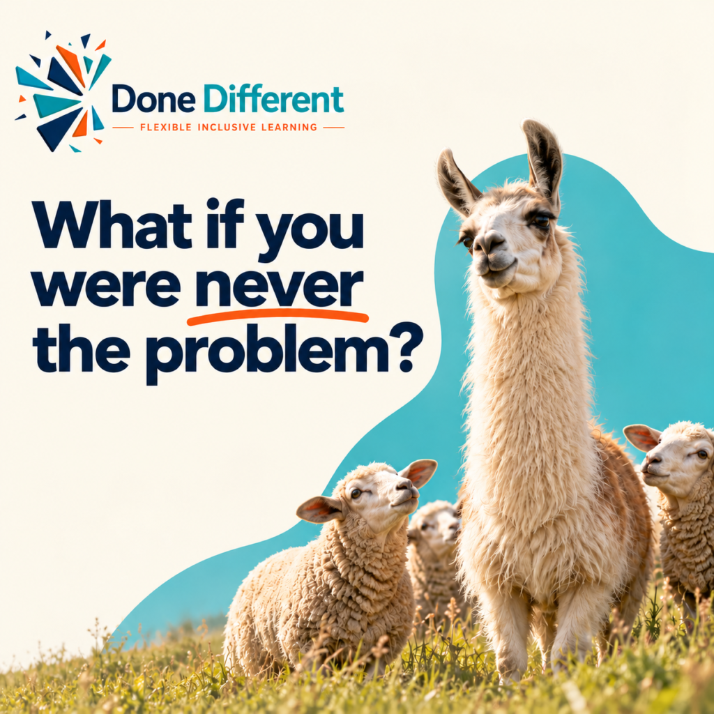 Llama in a field with cute lambs looking up at it